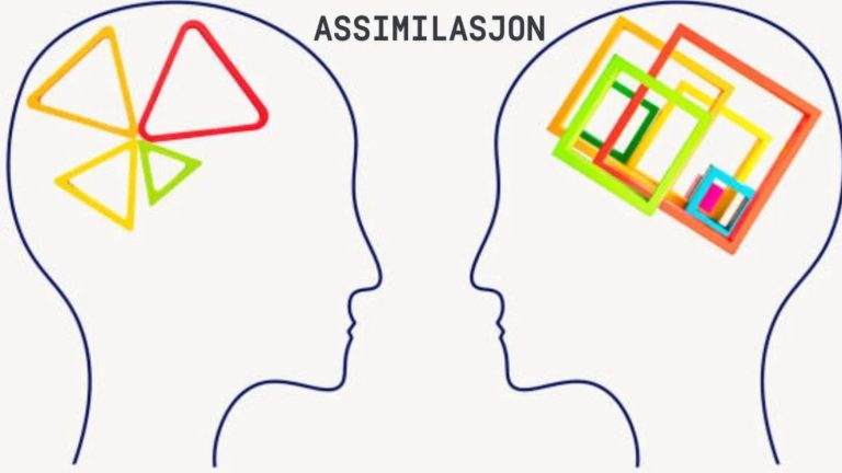 Assimilasjon