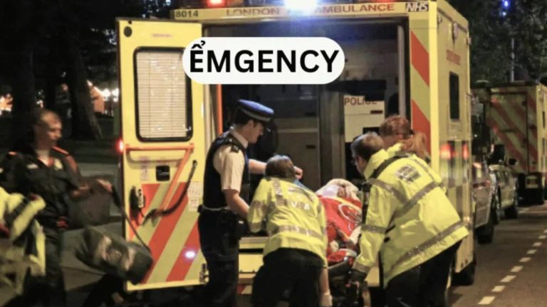 ểmgency: Emotional Intensity, and Critical Situations in Modern Communication